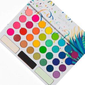 Sombras BH Cosmetics Take Me Back to Brazil